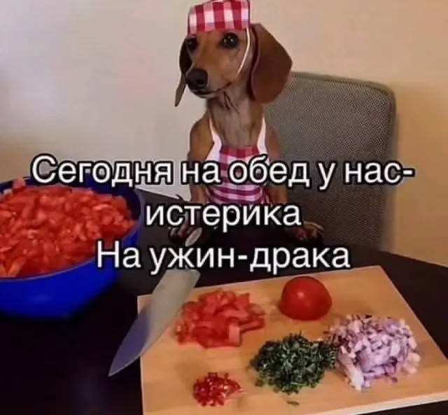 Обложка Рекос